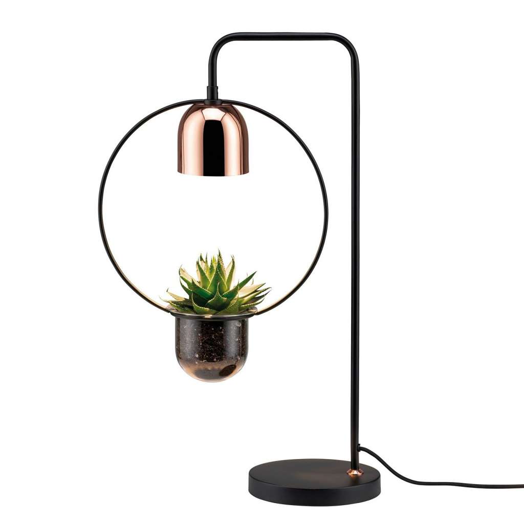 home24 Tischleuchte Fanja