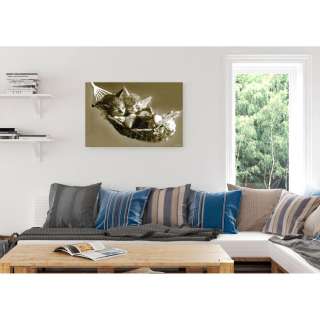 home24 Bild Katze