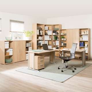 home24 Rollcontainer Office Line