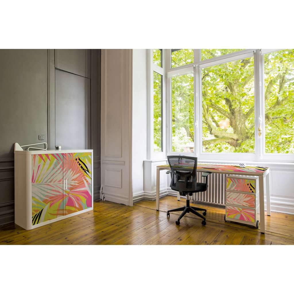 home24 Aktenschrank easyOffice Color II