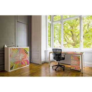 home24 Aktenschrank easyOffice Color II