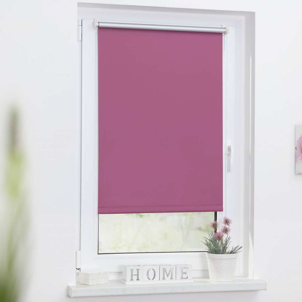 home24 Thermo-Rollo Spotswood VIII