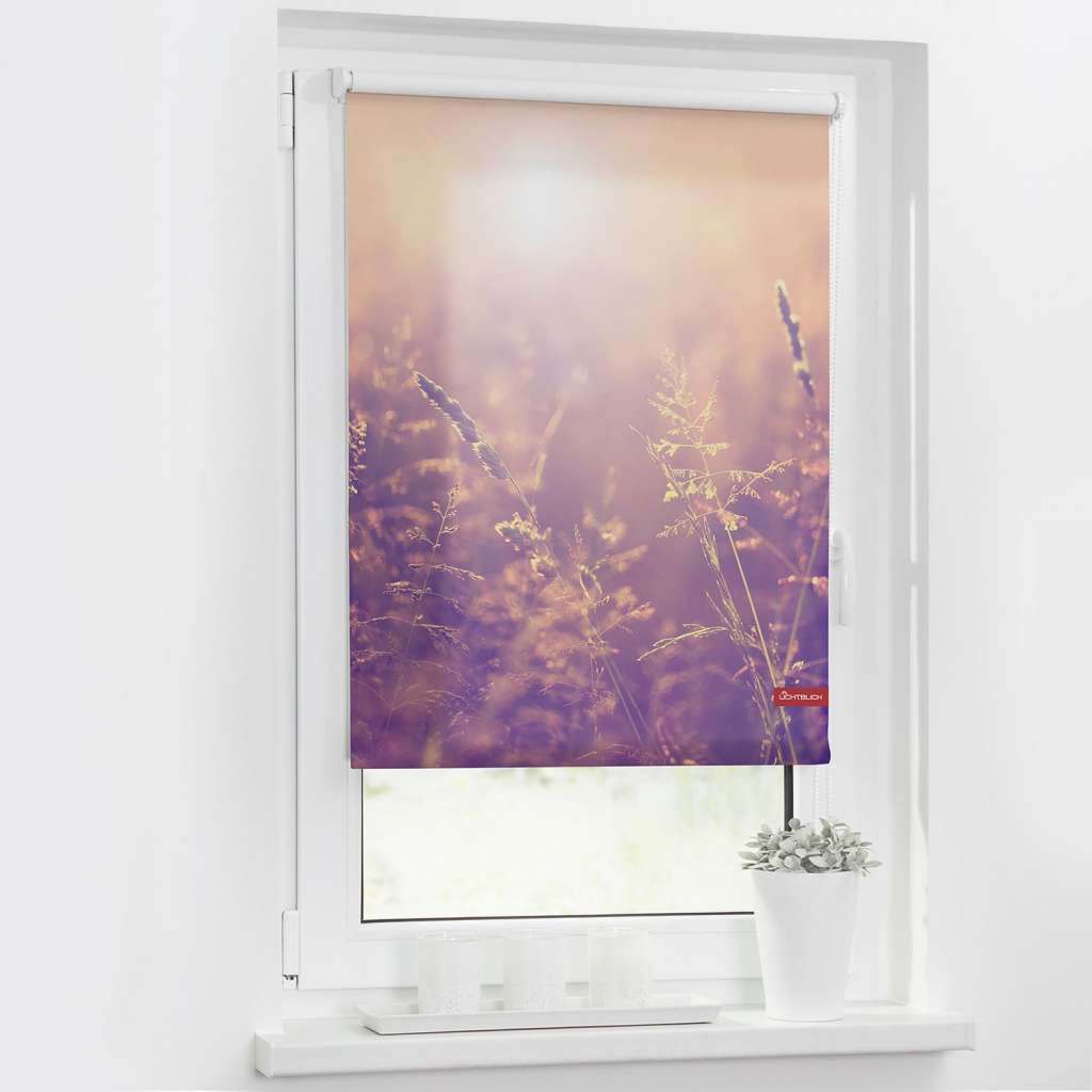 home24 Rollo Sommerabend