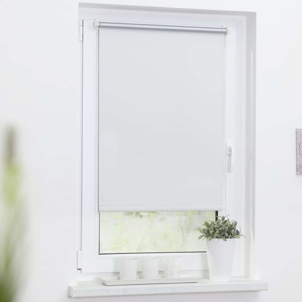 home24 Thermo-Rollo Spotswood I