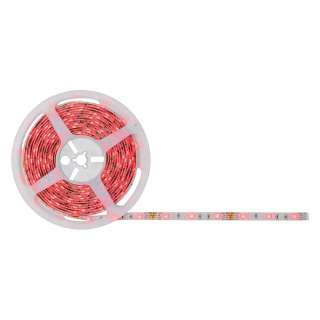 home24 LED-Lichterkette Ilheus V
