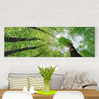 home24 Bild Baeume des Lebens