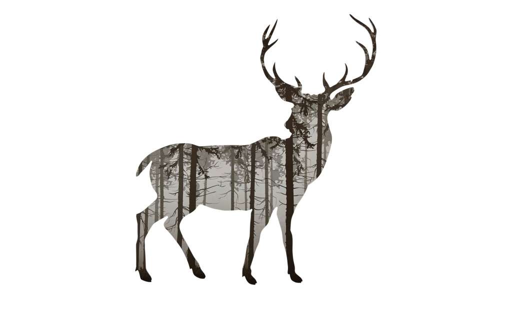Cut-Out Hirsch im Wald ¦ mehrfarbig ¦ Maße (cm): B: 50 H: 50 Dekoration > Bilder & Schilder - Höffner