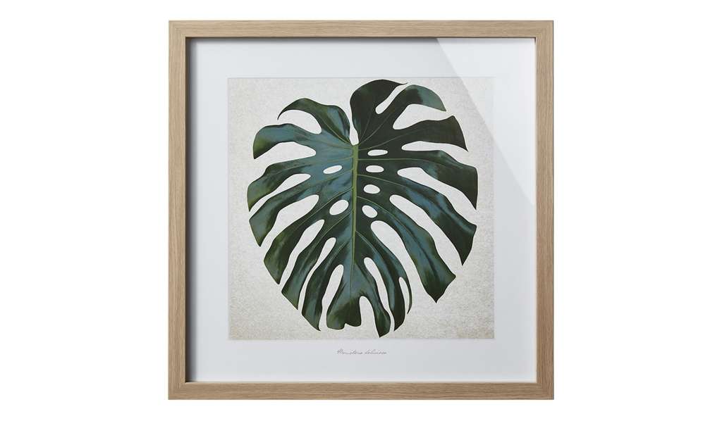 Gerahmtes Bild Green Leaf  Framed Art ¦ mehrfarbig ¦ Maße (cm): B: 55 H: 55 Dekoration > Bilder & Schilder - Höffner