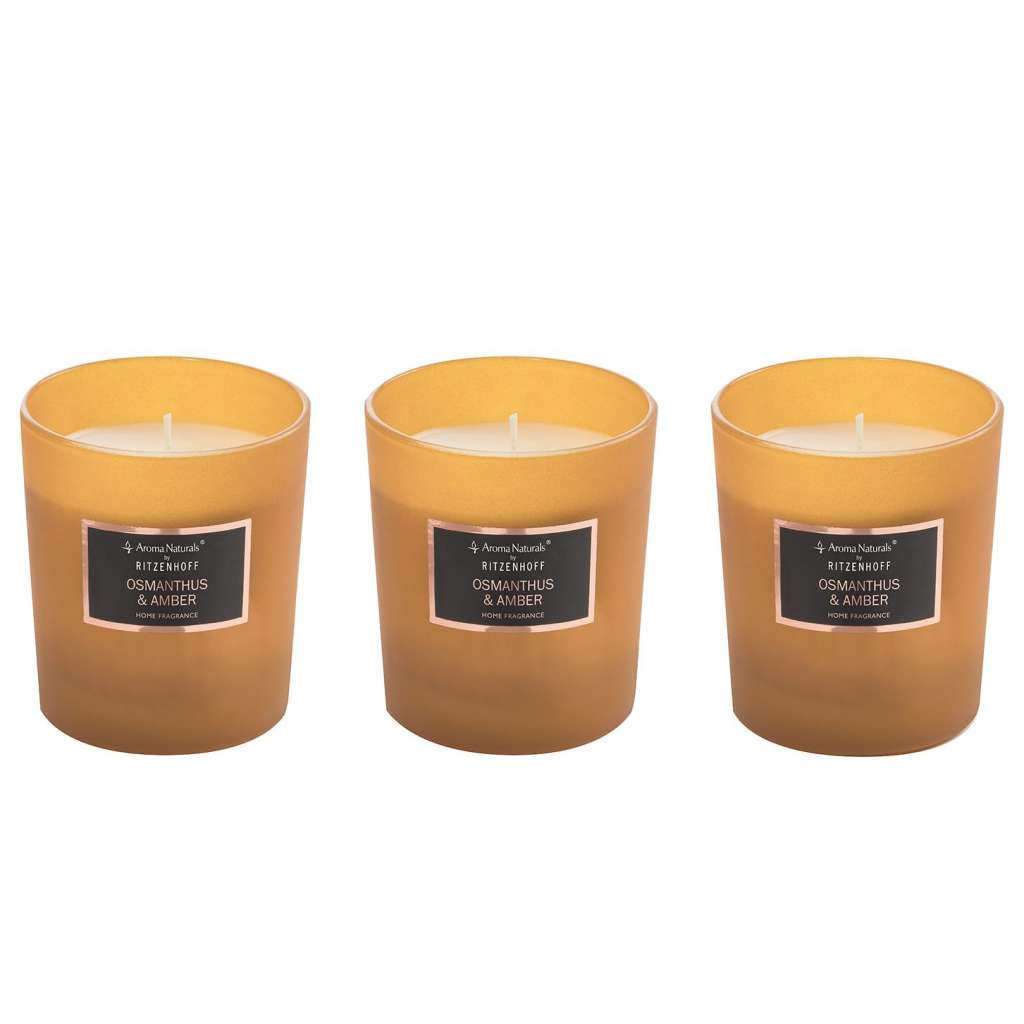 home24 Duftkerzen Osmanthus und Amber (3er-Set)