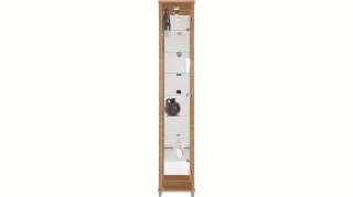Vitrine, 1-türig mit Spiegelrückwand, 7 Glasböden