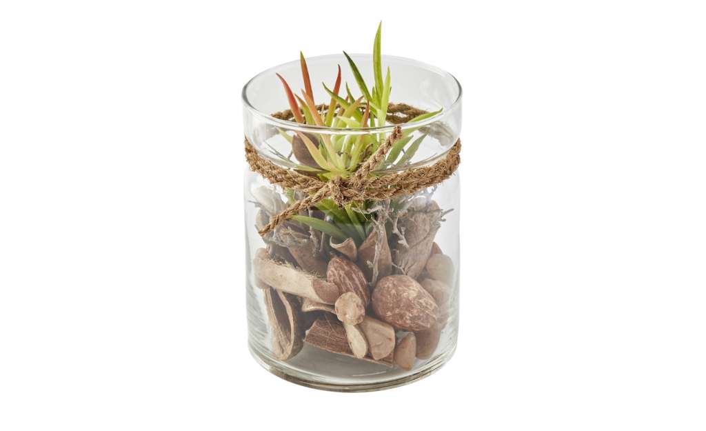 Sukkulente im Glas ¦ grün ¦ Kunststoff, Glas , Silikon ¦ Maße (cm): H: 13 Ø: [10.0] Dekoration > Kunstblumen - Höffner