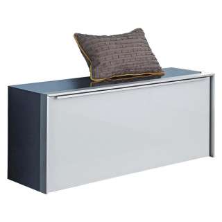 Dieter Knoll GARDEROBENBANK Weiß, Silber