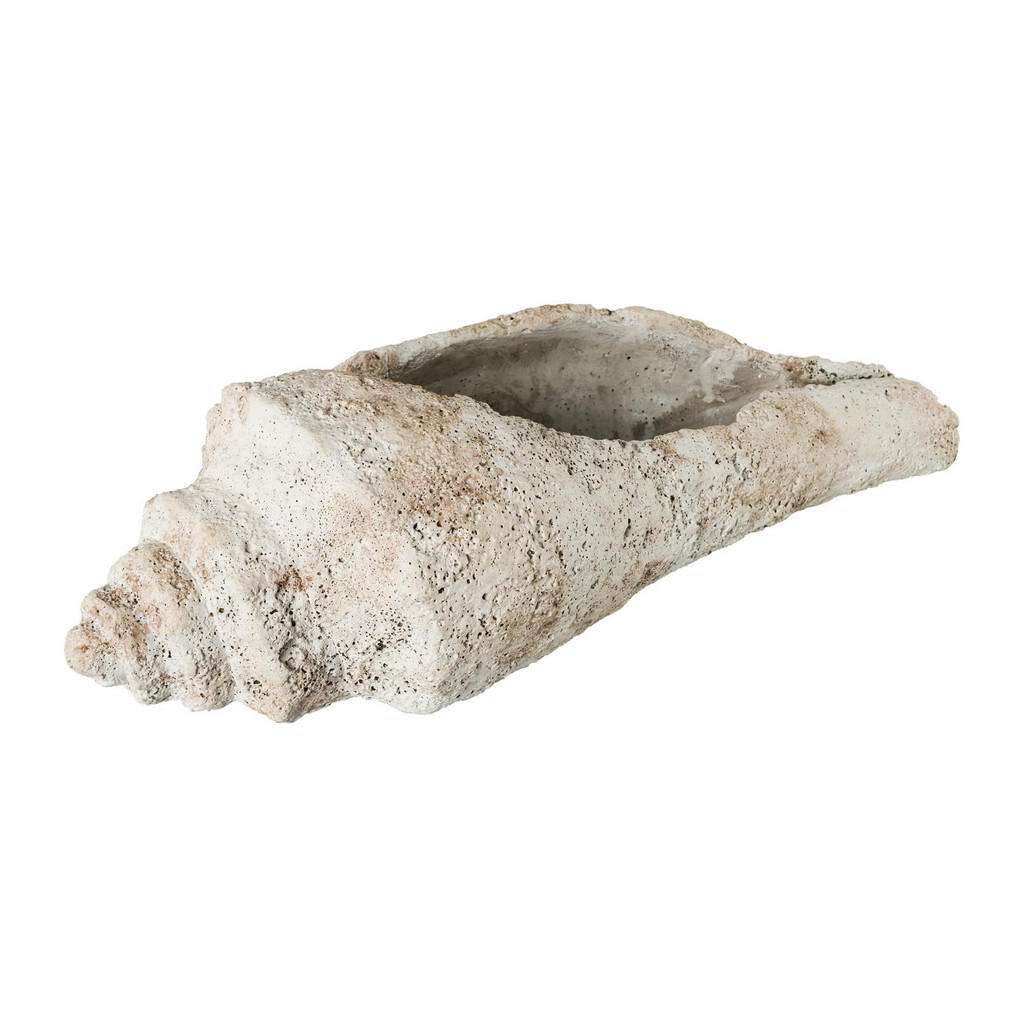 XXXL DEKOMUSCHEL, Beige
