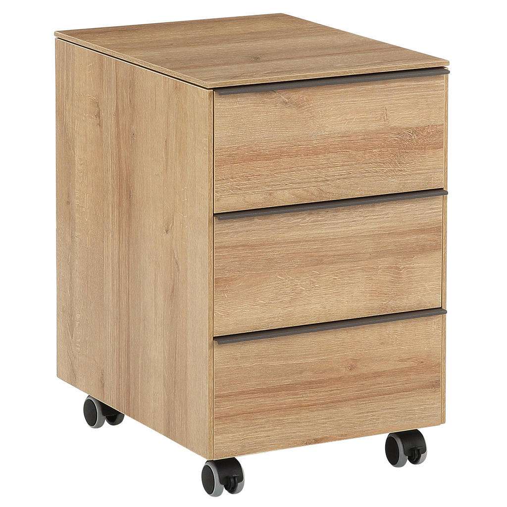 XXXL ROLLCONTAINER Braun