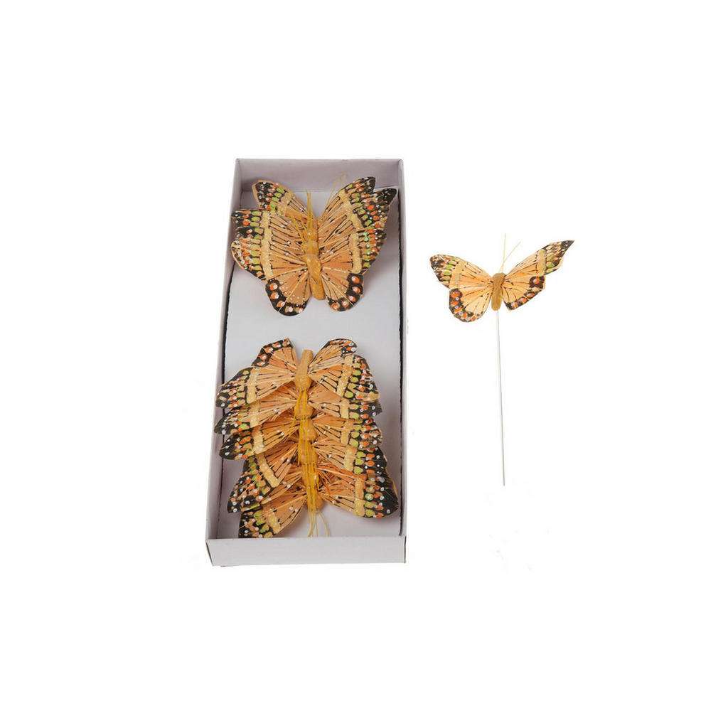 XXXL DEKOSCHMETTERLING, Geld