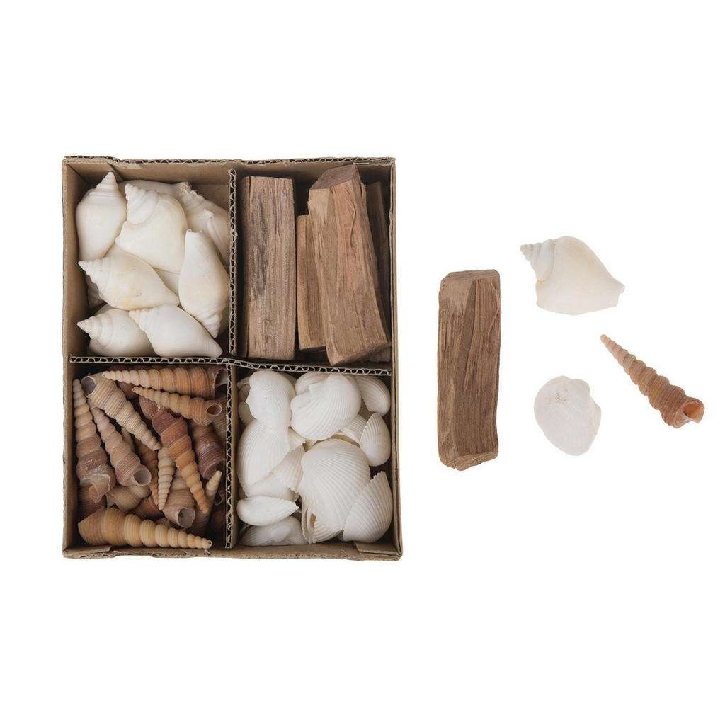 XXXL Deko Muschel Set, Mehrfarbig