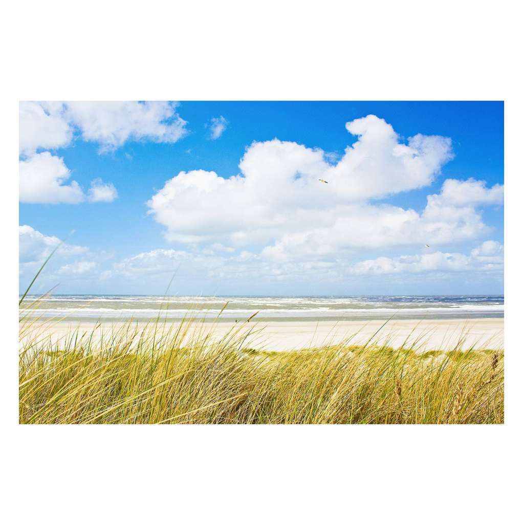 home24 Bild An der Nordseekueste