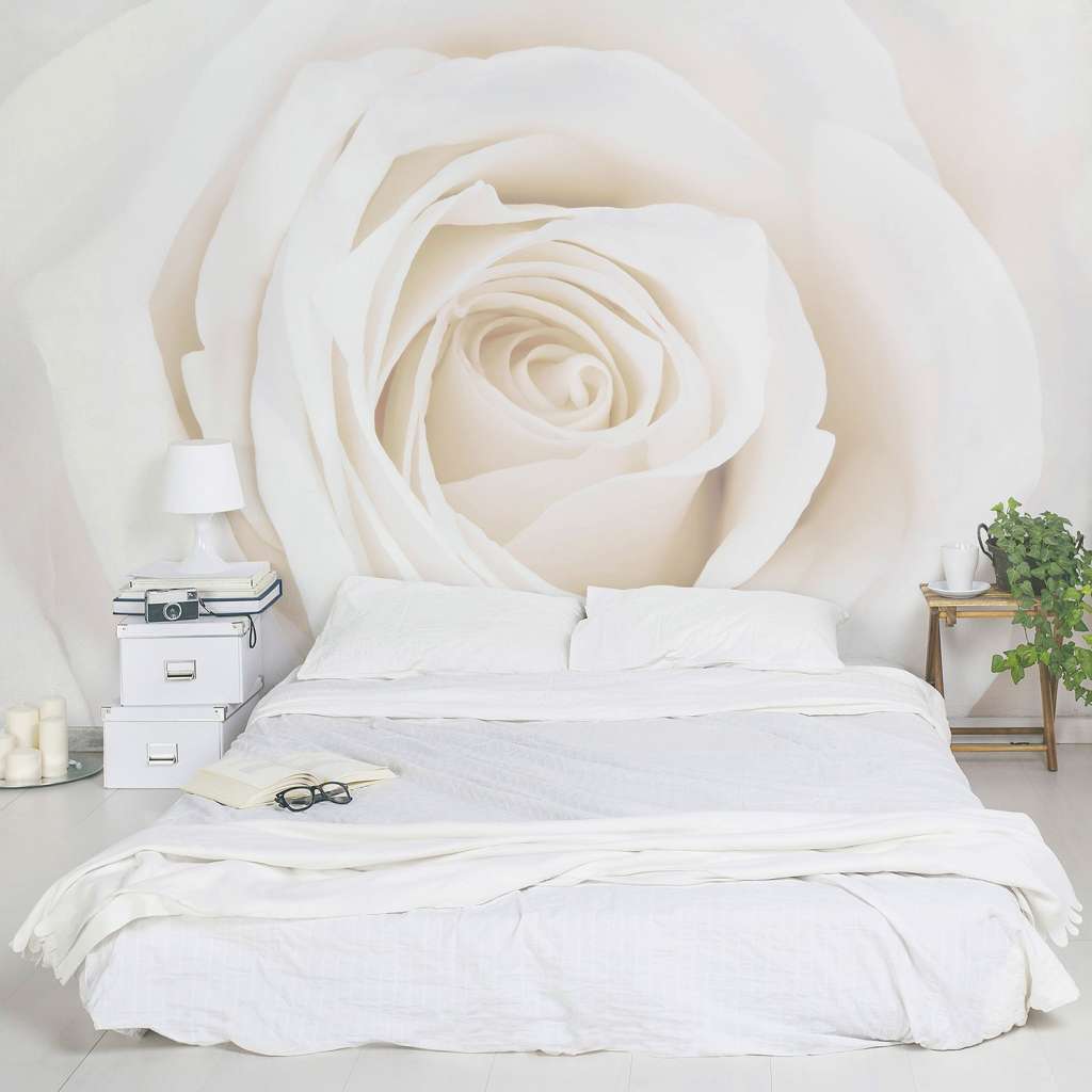 home24 Vliestapete Pretty White Rose