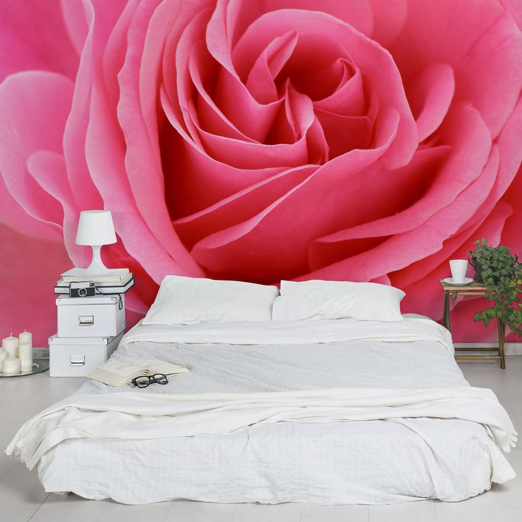 home24 Vliestapete Lustful Pink Rose