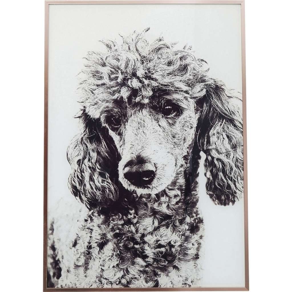 Bild Frame Alu Poodle 60x40cm