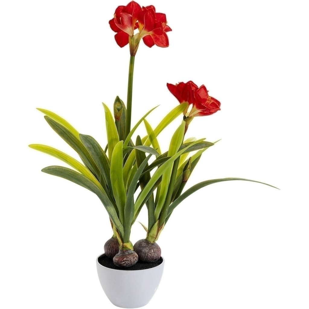 Deko Pflanze Amaryllis Rot 98cm