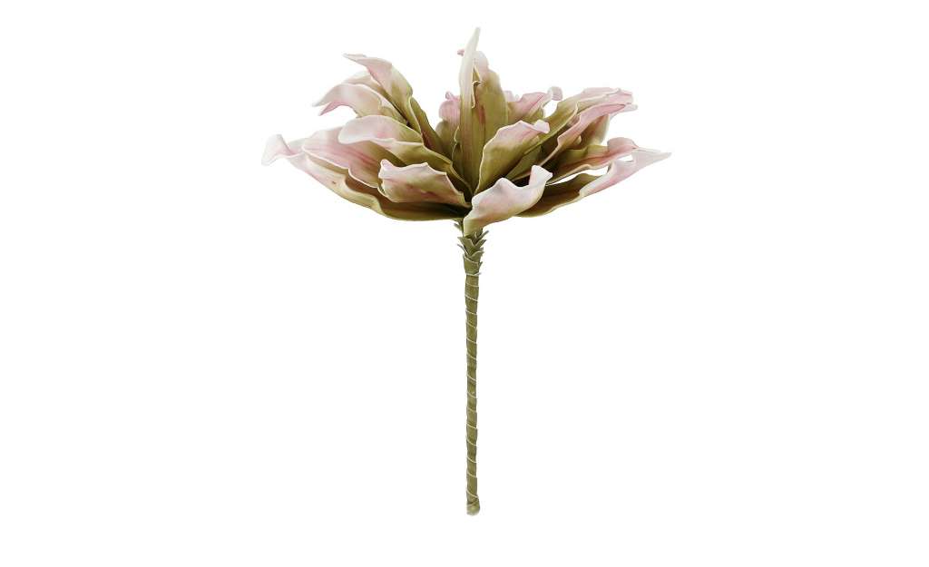 Soft Flower  Protea ¦ rosa/pink ¦ Kunststoff, Metall ¦ Maße (cm): H: 38 Dekoration > Kunstblumen - Höffner