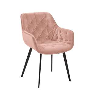 Esszimmer Polsterstühle in Rosa Samt Metallgestell in Schwarz (2er Set)