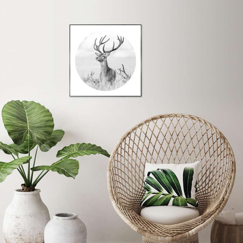 home24 Bild Stolzer Hirsch