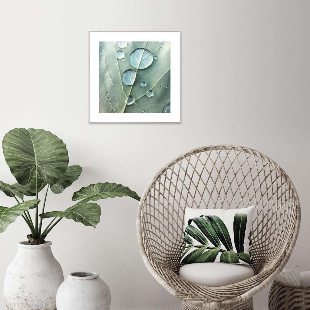 home24 Bild Tautropfen