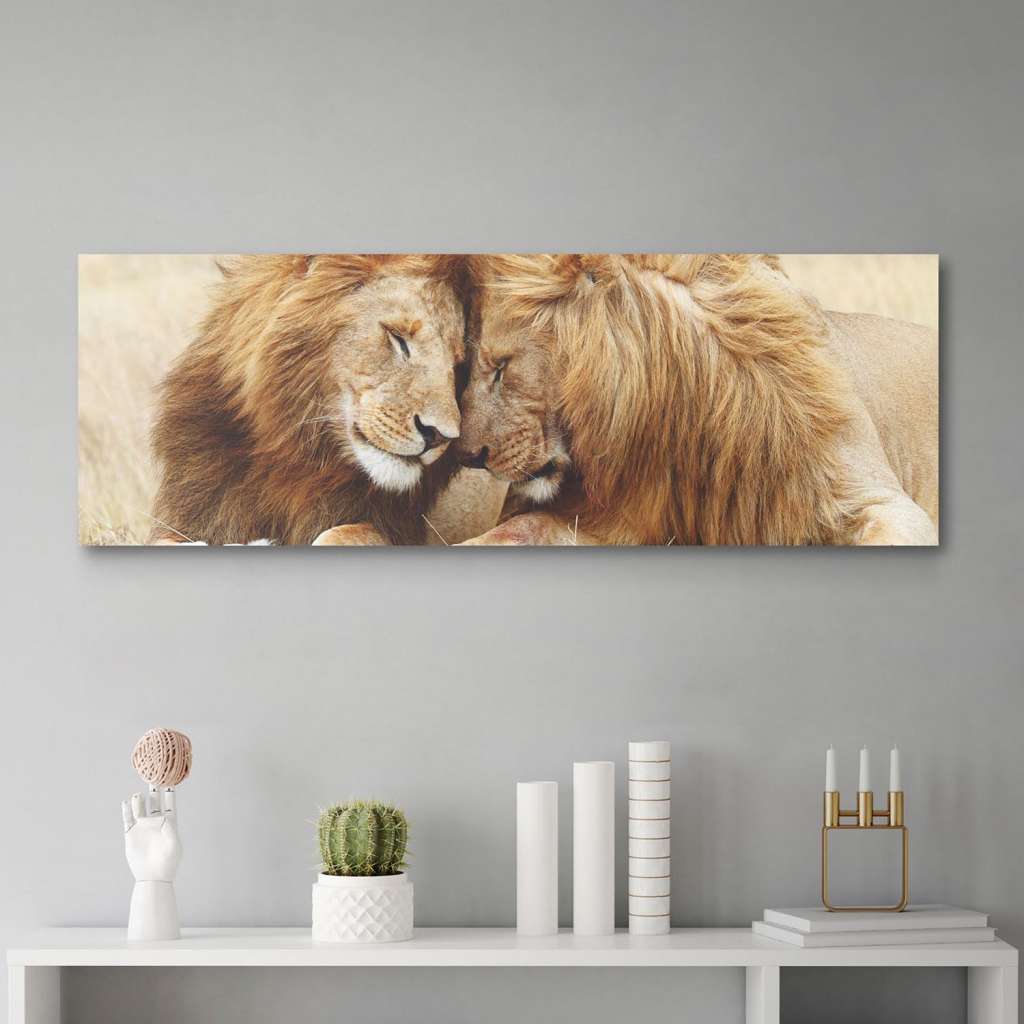 home24 Bild Loewenliebe