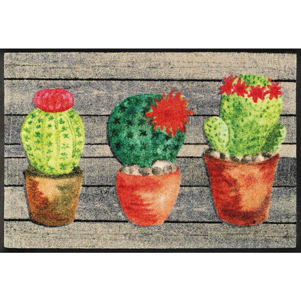 FUßMATTE 50/75 cm Kaktus Multicolor