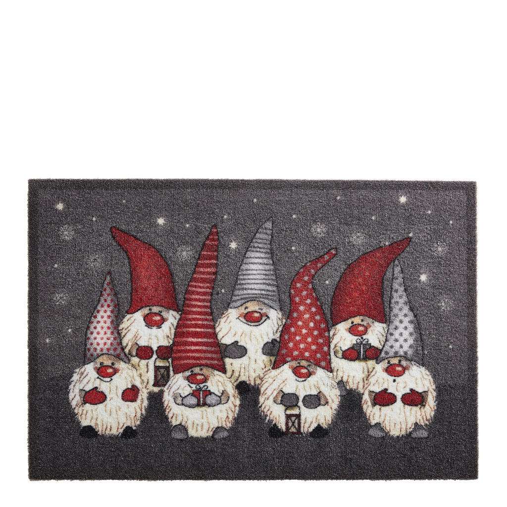 FUßMATTE 40/60 cm Multicolor