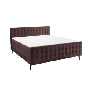 BOXSPRINGBETT Velours, Makosatin 160/200 cm INKL. Matratze, Topper