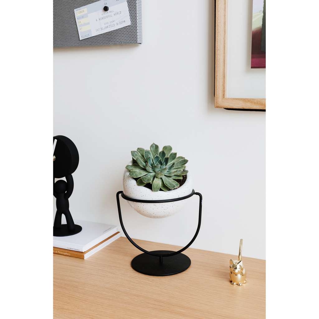 home24 Pflanzenhalter Nesta