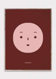 Paper Collective - Curios Feeling - indoor