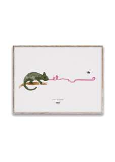 Paper Collective - Charlie the Chameleon - - indoor