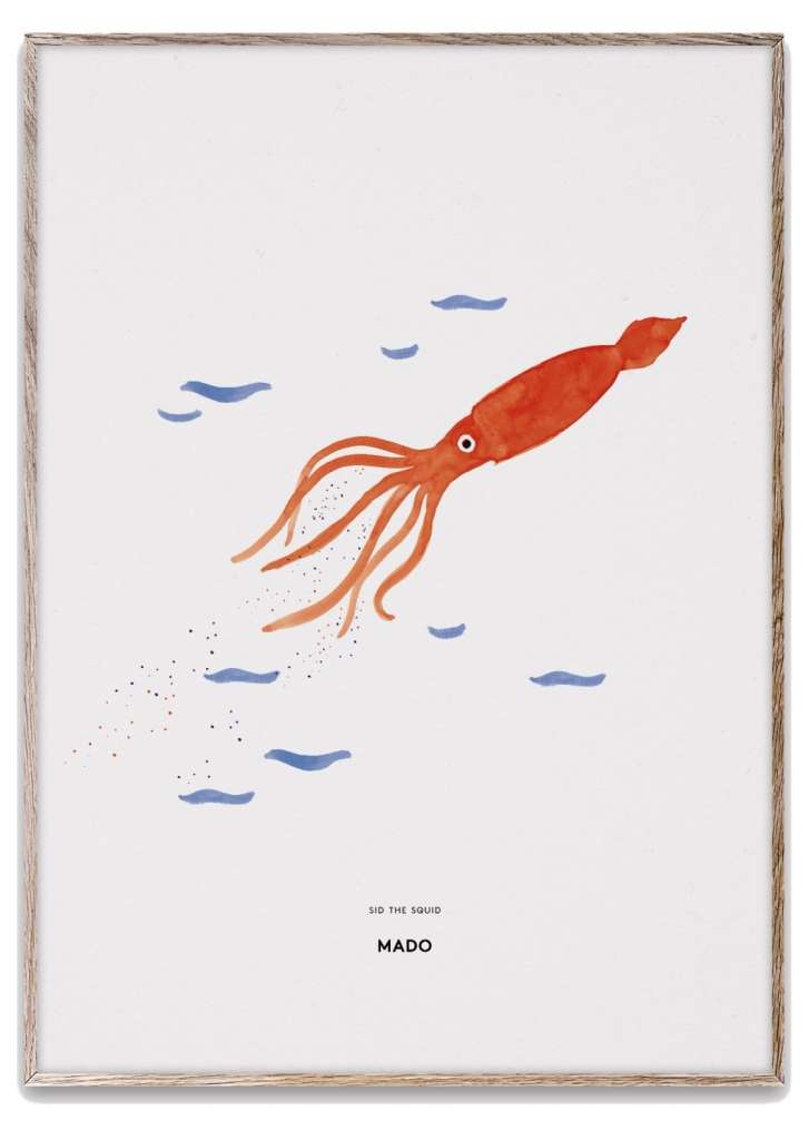 Paper Collective - Sid the Squid - - indoor