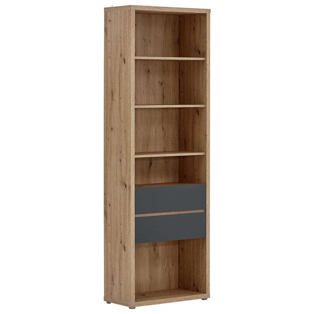 AKTENREGAL Anthrazit, Eichefarben