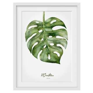 home24 Bild Aquarell Botanik Monstera II
