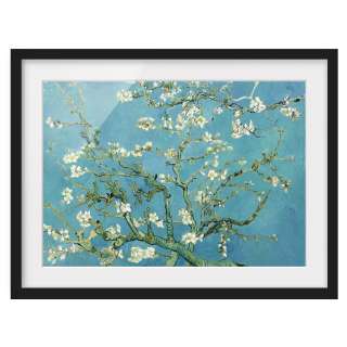 home24 Bild Mandelbluete V