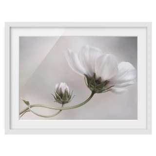 home24 Bild Simply Cosmos II