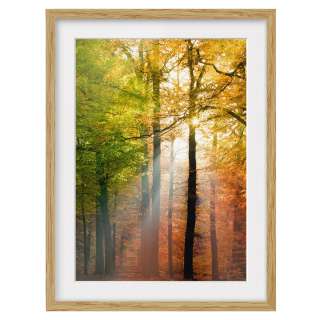 home24 Bild Morning Light IV