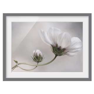 home24 Bild Simply Cosmos III