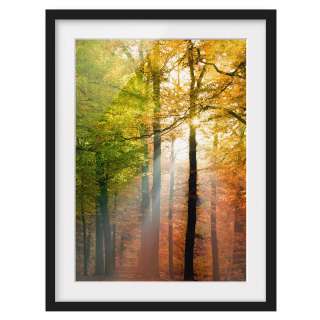 home24 Bild Morning Light I