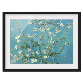 home24 Bild Mandelbluete V
