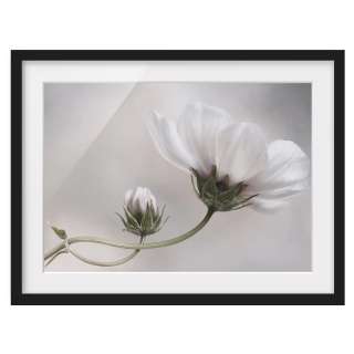 home24 Bild Simply Cosmos I