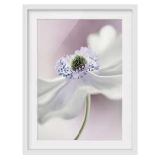 home24 Bild Anemonenbrise II