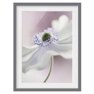 home24 Bild Anemonenbrise III
