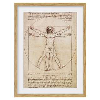 home24 Bild Da Vinci IV