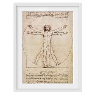 home24 Bild Da Vinci II